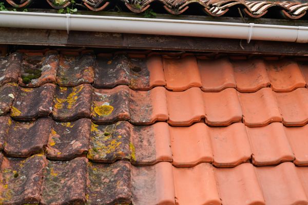 Industrial Roof Cleaning in North Port