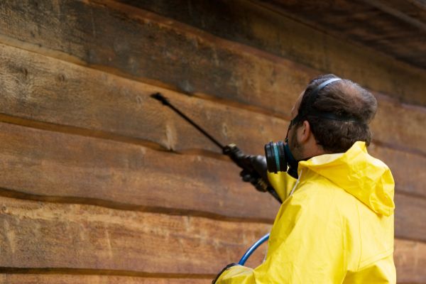 Cost of Cedar Siding Washing in North Port